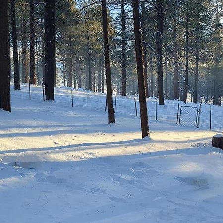 Close To Williams, Flagstaff, Grand Canyon And Sedona Exteriör bild
