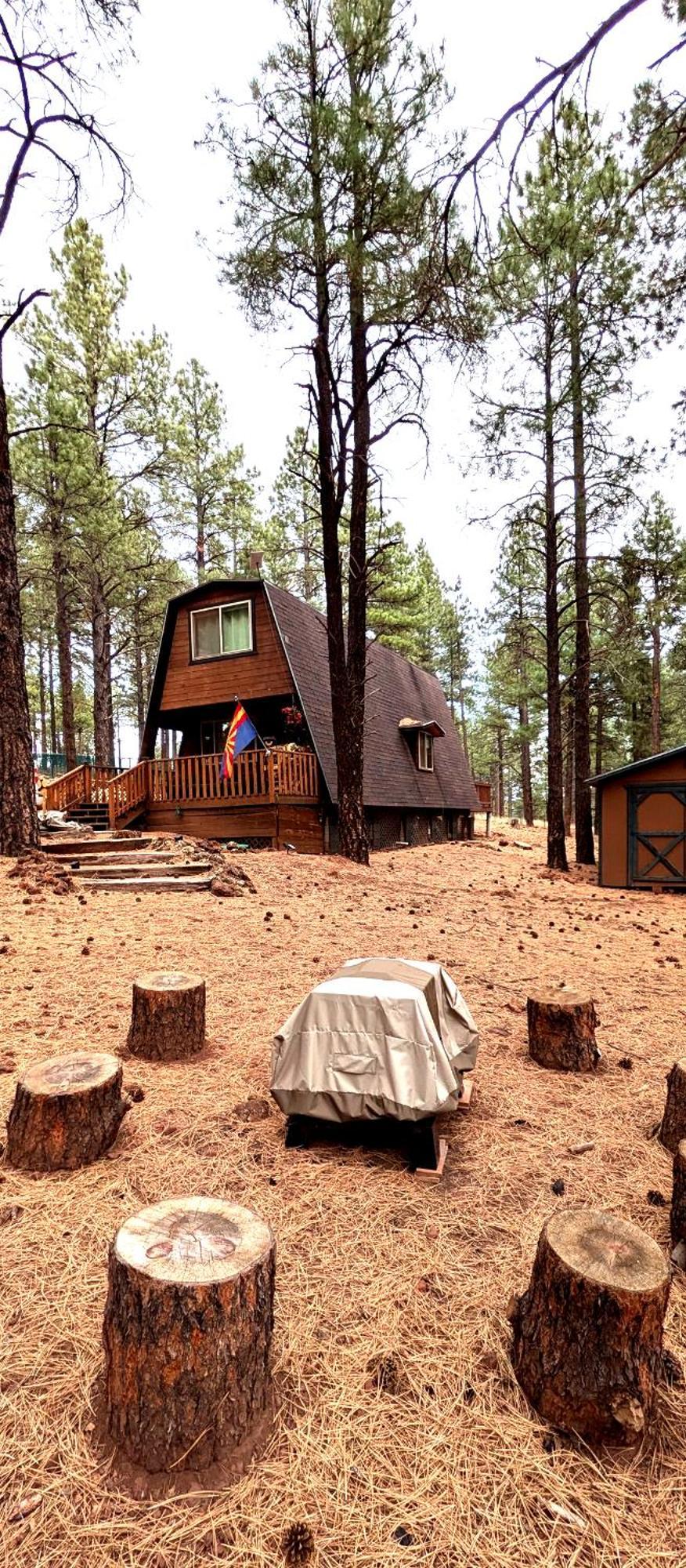 Close To Williams, Flagstaff, Grand Canyon And Sedona Exteriör bild