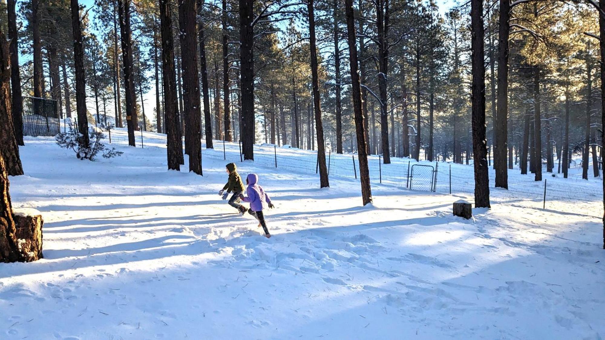 Close To Williams, Flagstaff, Grand Canyon And Sedona Exteriör bild