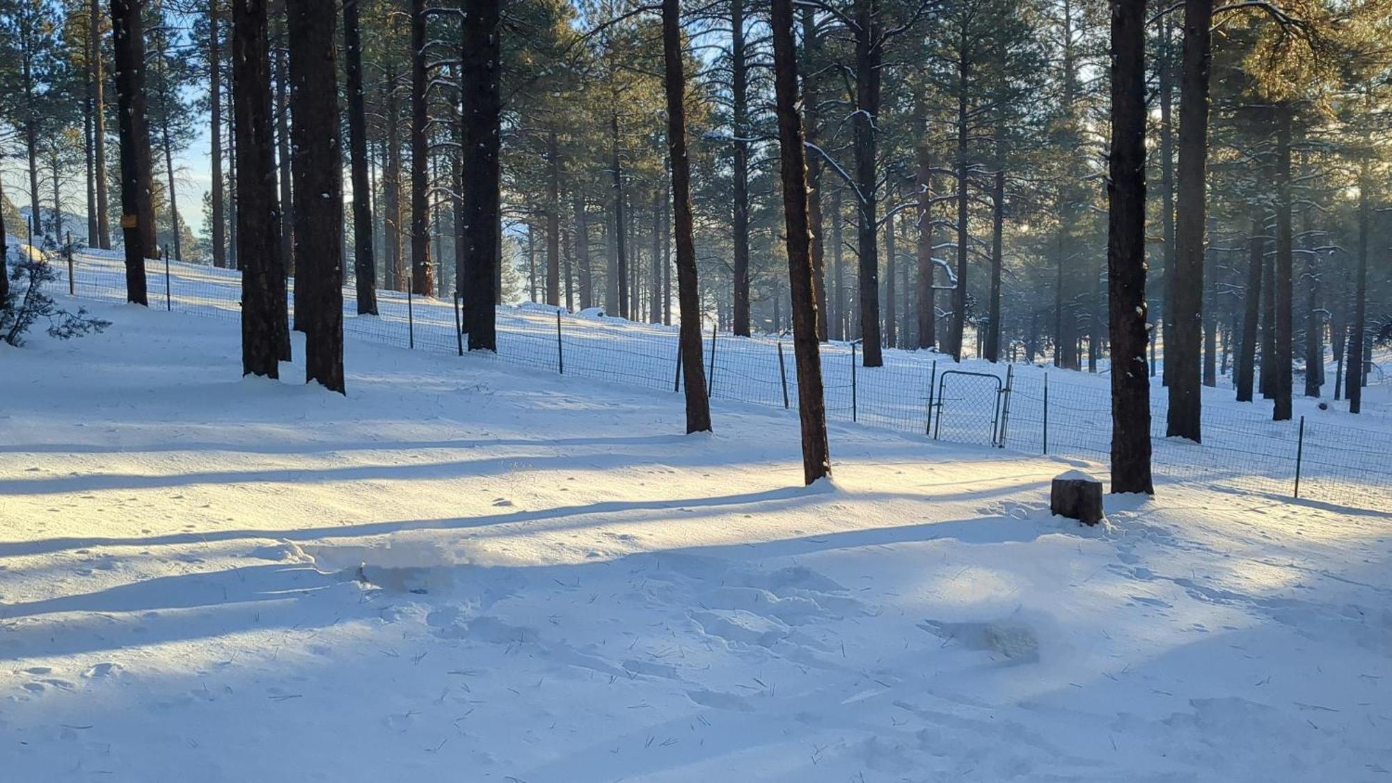 Close To Williams, Flagstaff, Grand Canyon And Sedona Exteriör bild