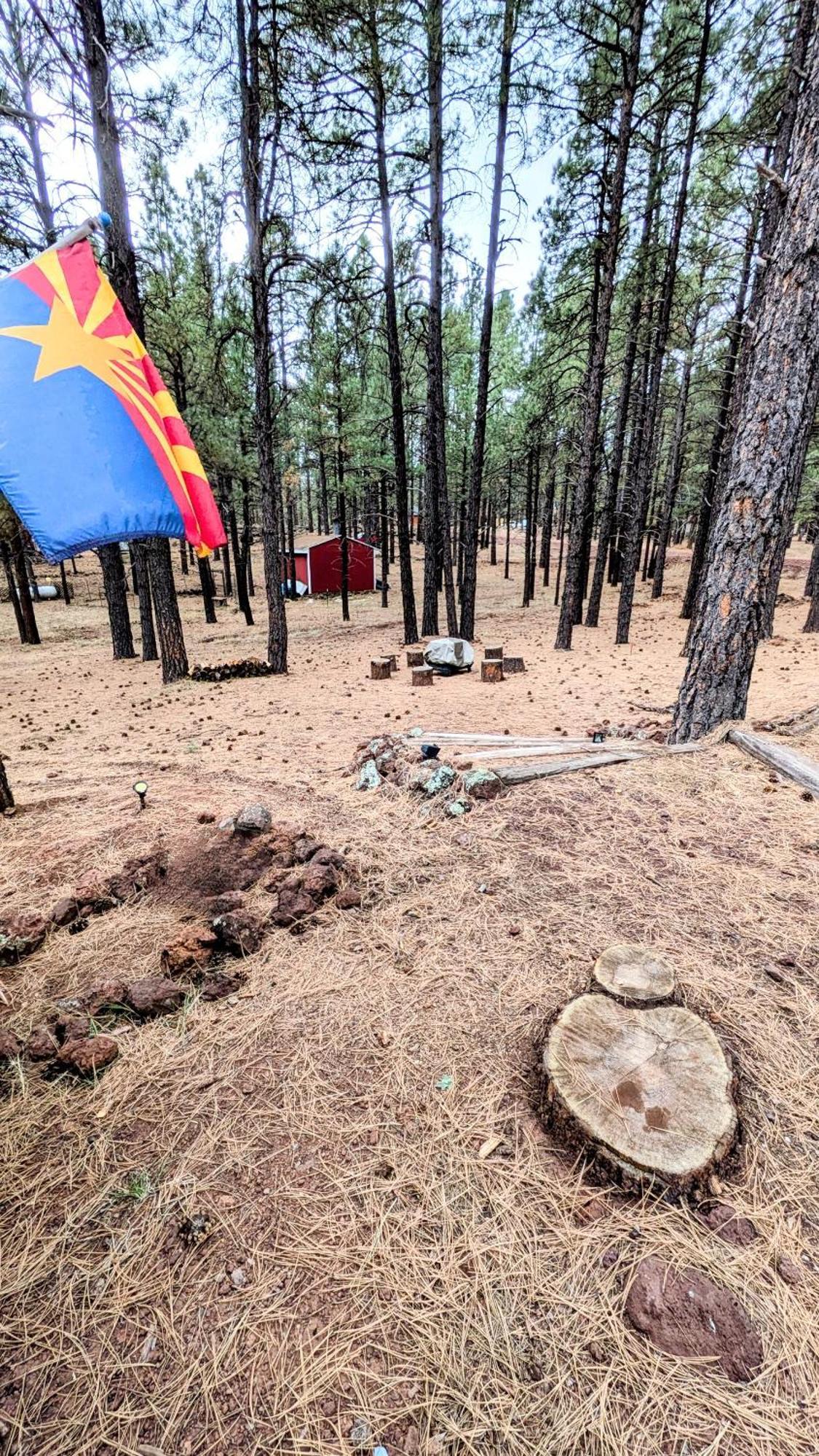Close To Williams, Flagstaff, Grand Canyon And Sedona Exteriör bild