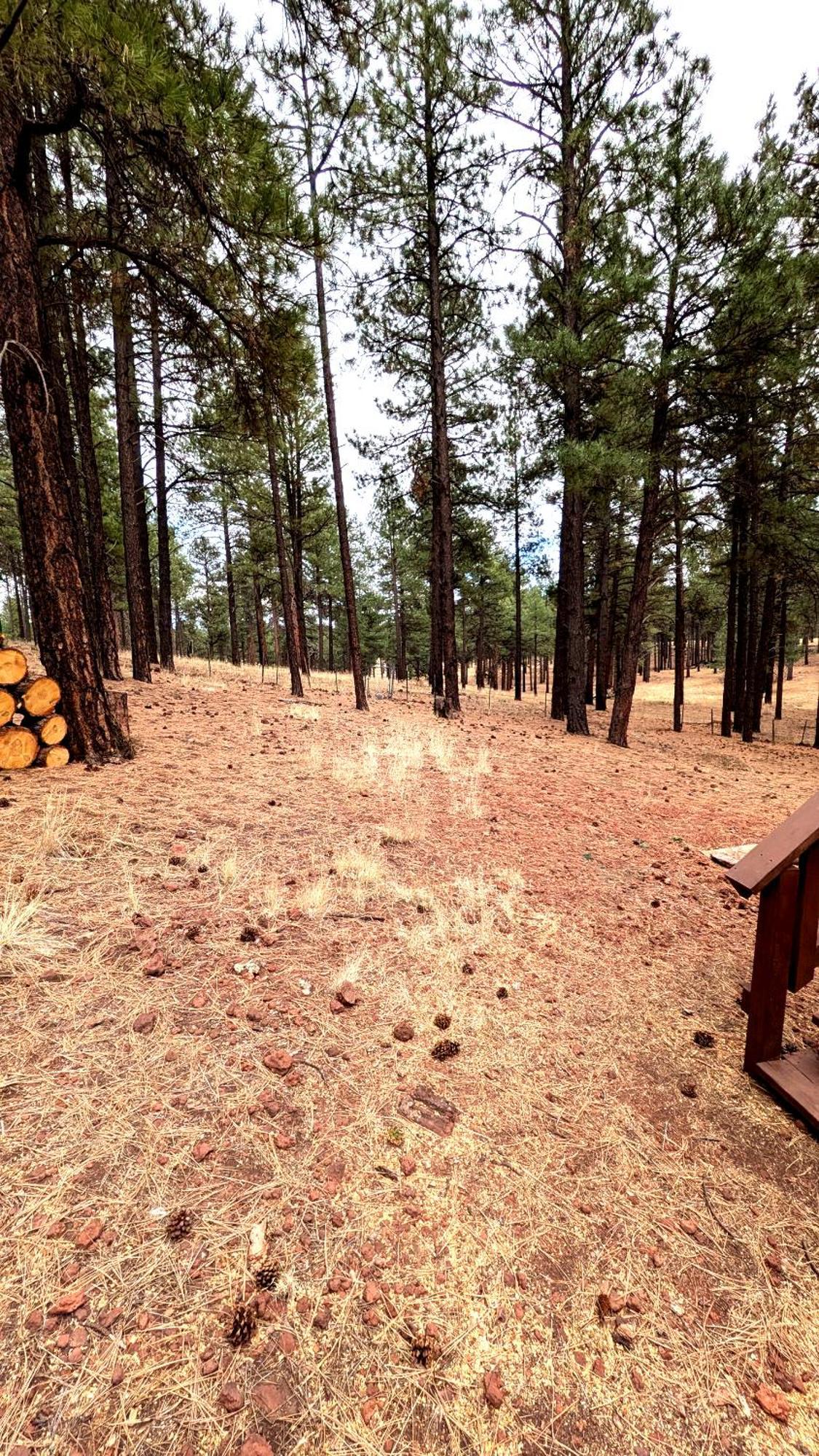 Close To Williams, Flagstaff, Grand Canyon And Sedona Exteriör bild