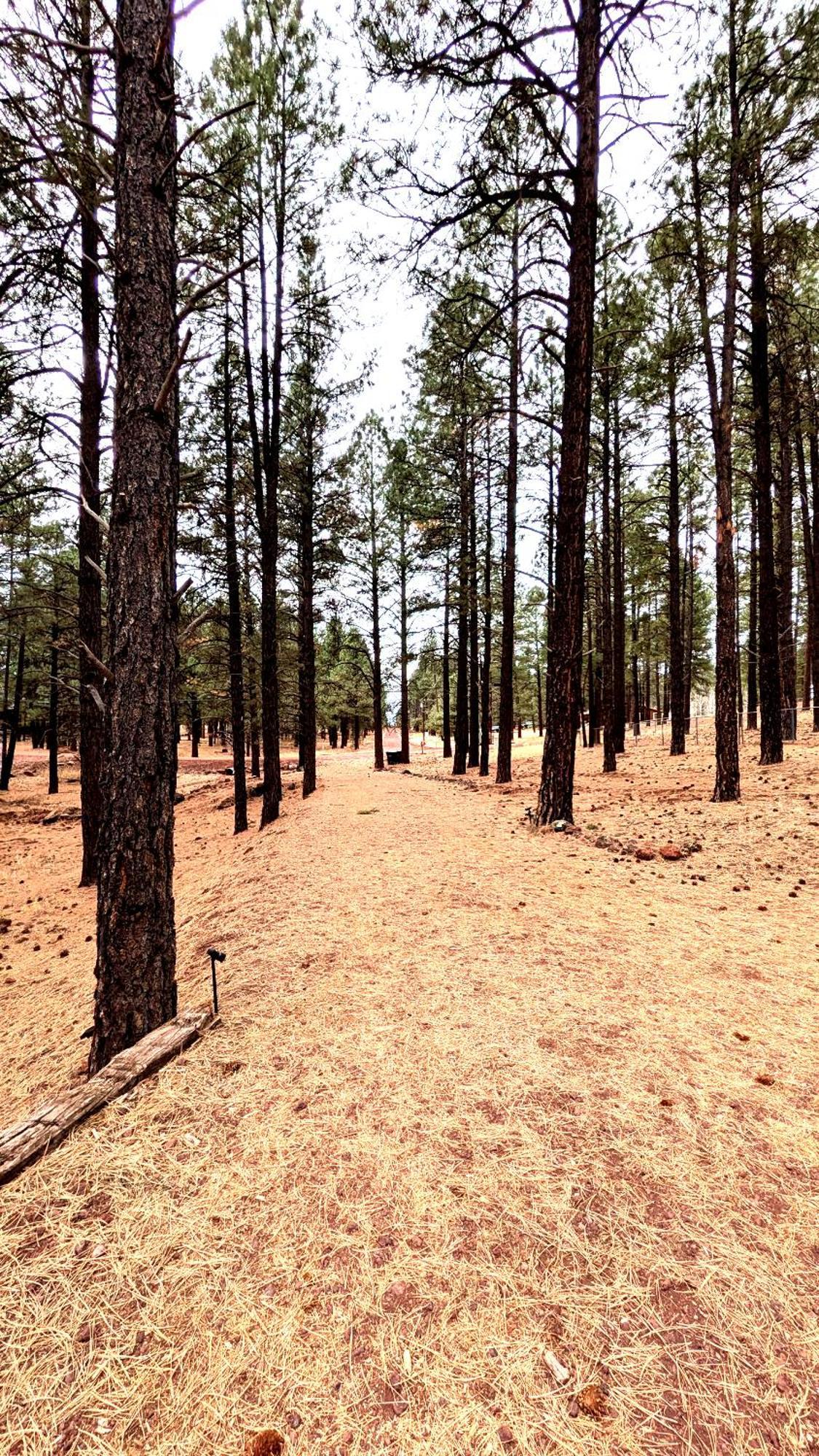 Close To Williams, Flagstaff, Grand Canyon And Sedona Exteriör bild