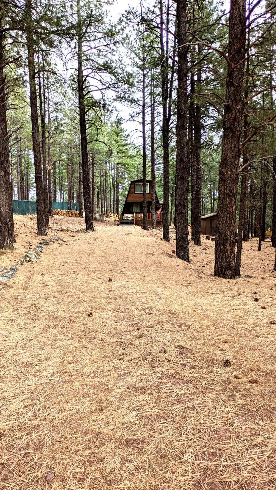 Close To Williams, Flagstaff, Grand Canyon And Sedona Exteriör bild